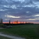 IMG_1247